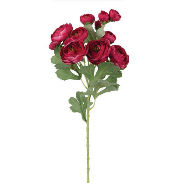 Bunched Ranunculus Spray