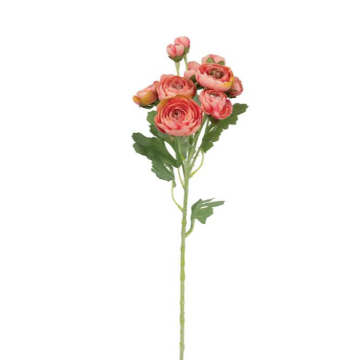 Bunched Ranunculus Spray