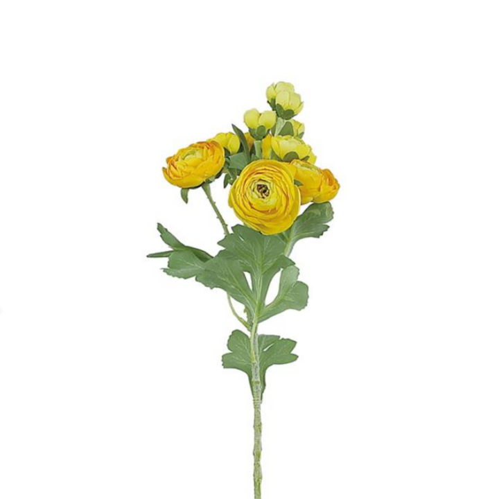 Bunched Ranunculus Spray