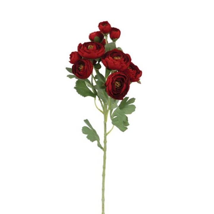 Bunched Ranunculus Spray