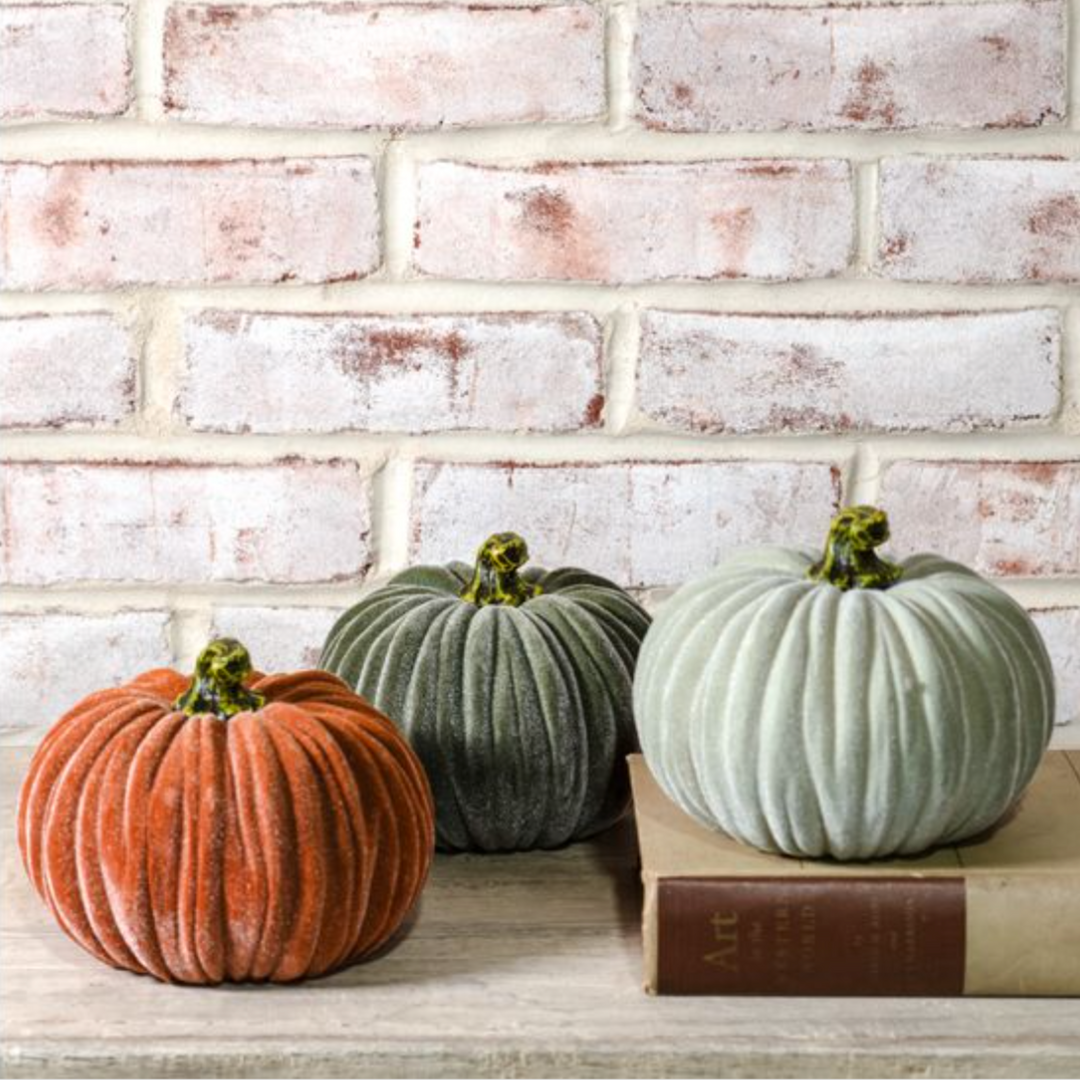 Lush Textured Velvet Pumpkin