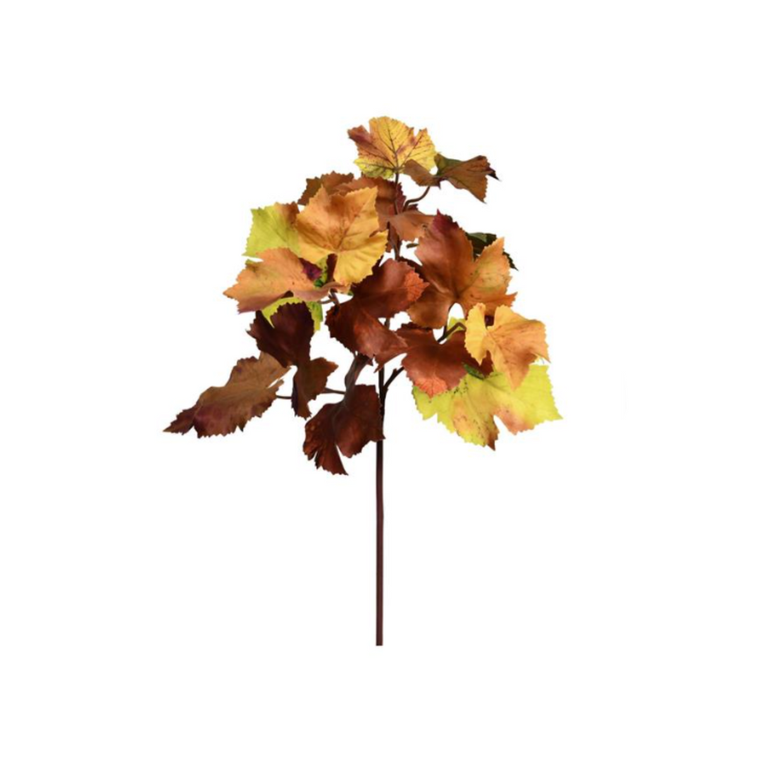 Changing Colors Grape Leaf Spray