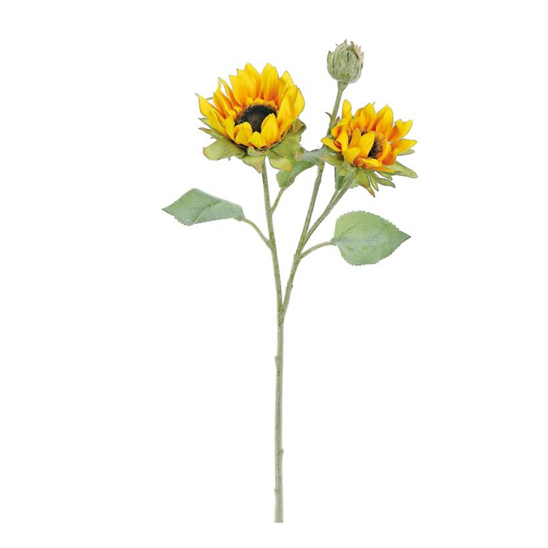 Lovely Gold Sunflower Bunch