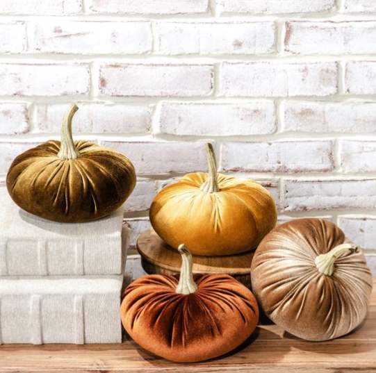 Decadent Velvet Pumpkin