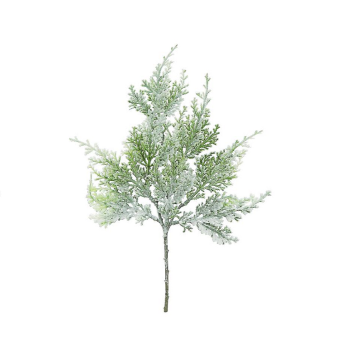 Light Snow Cedar Pick