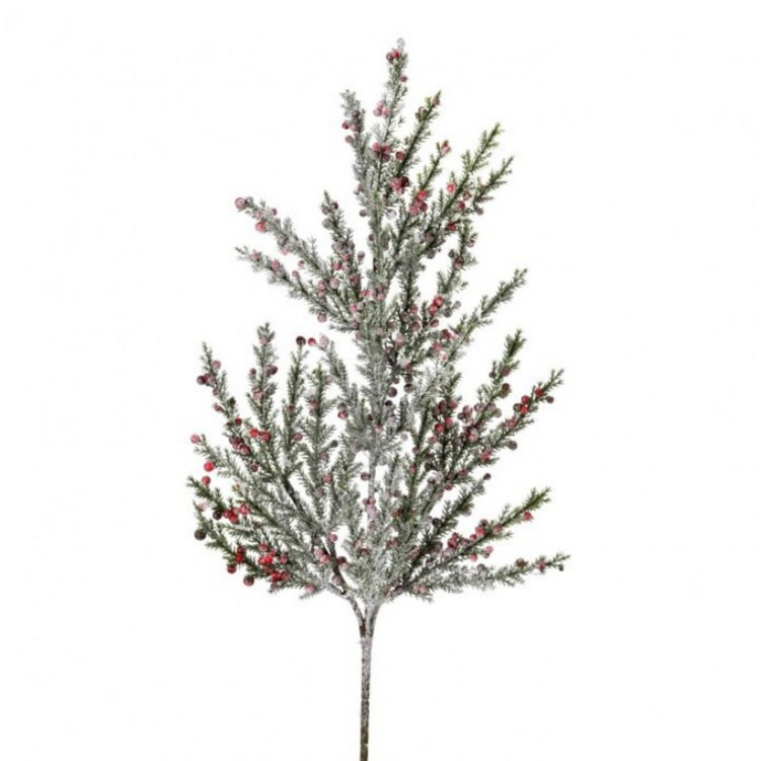 Prickly Juniper & Mini Berry Spray