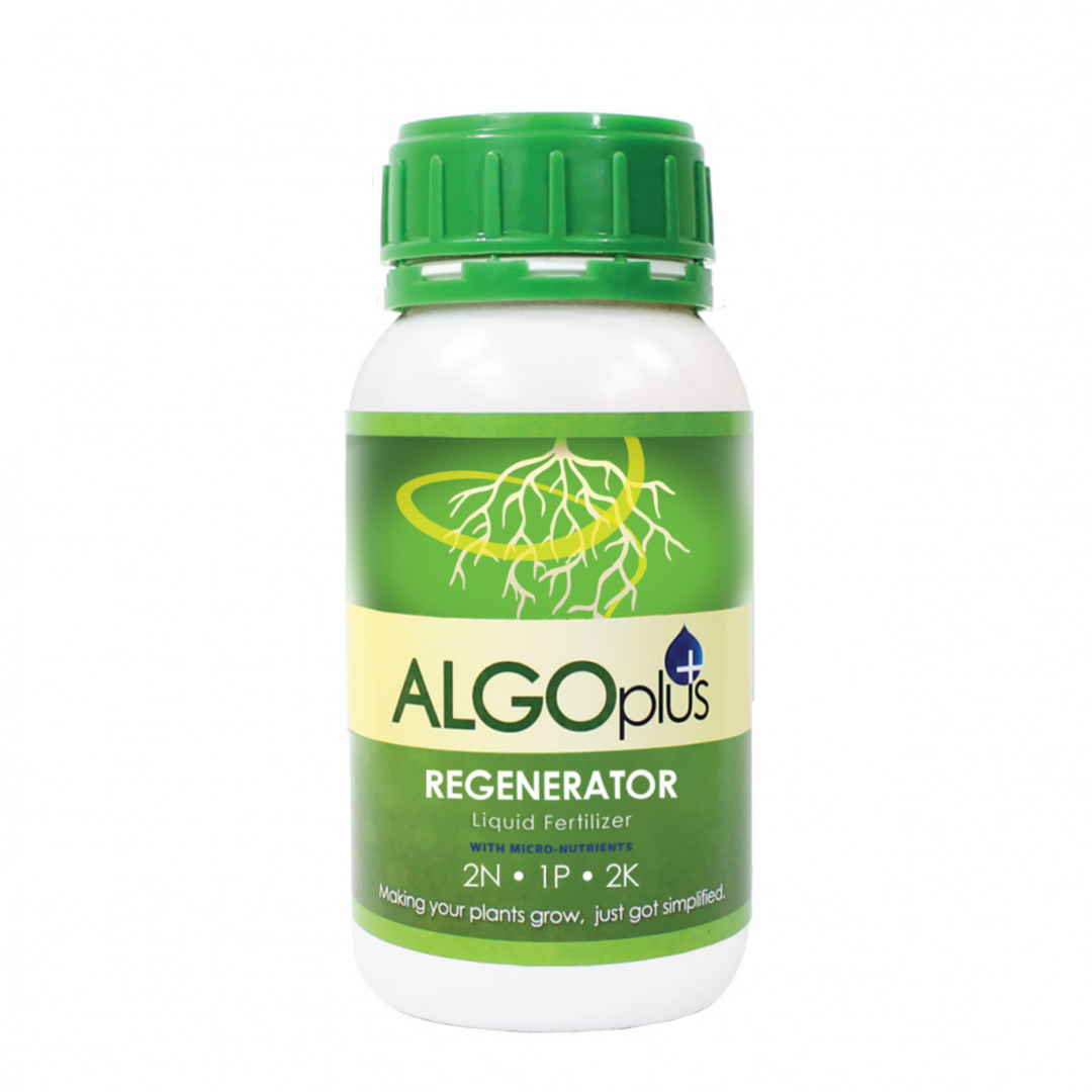Algo Regenerator Fertilizer
