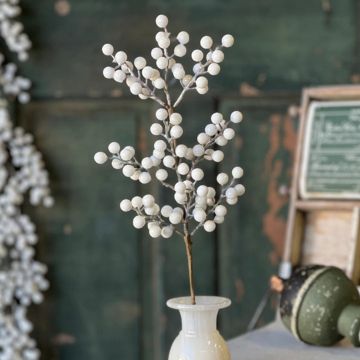 Icy Snowdrop Berry Pick