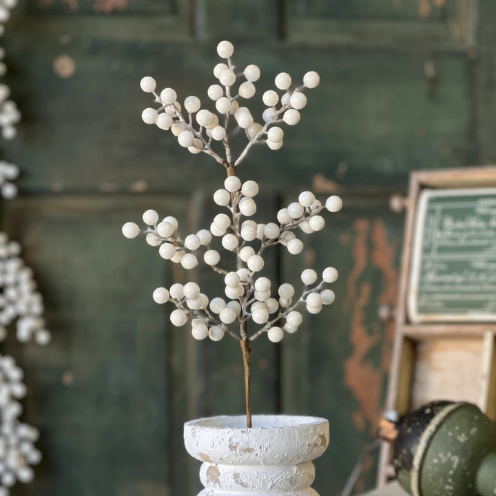 Icy Snowdrop Berry Pick