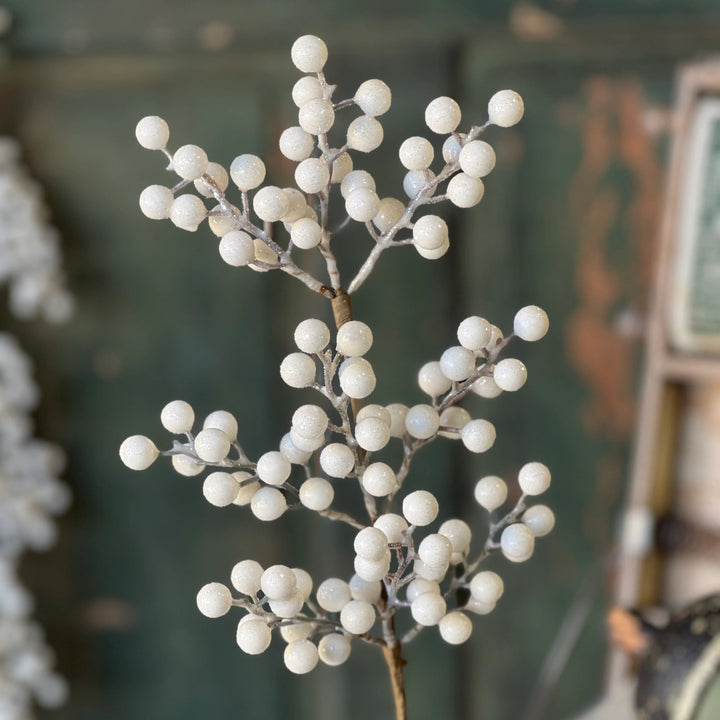 Icy Snowdrop Berry Pick