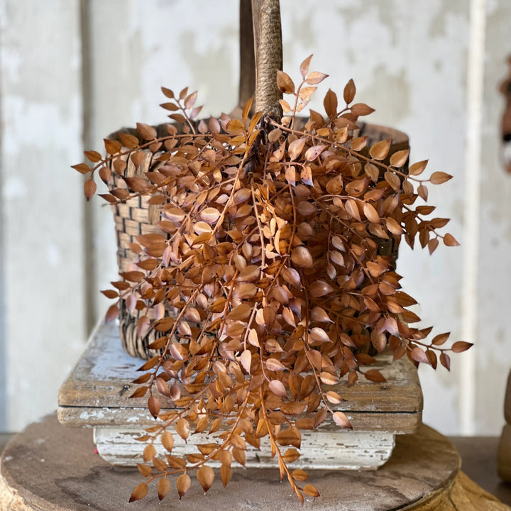 Hazel Bohicket Hanging Foliage