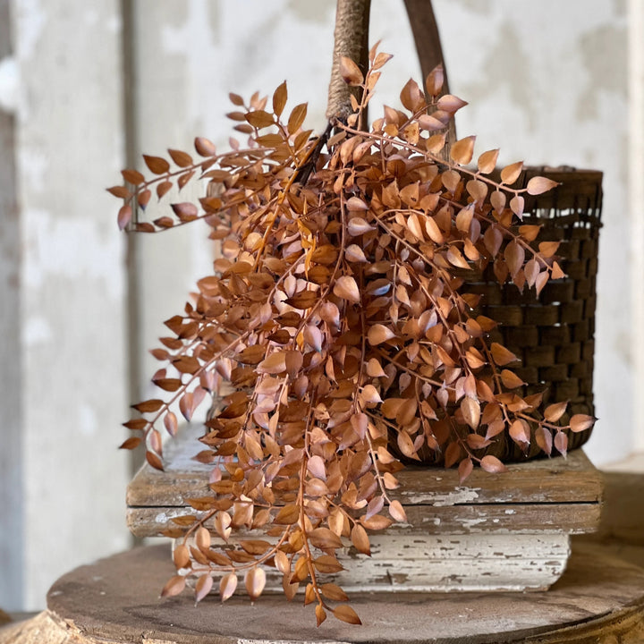 Hazel Bohicket Hanging Foliage