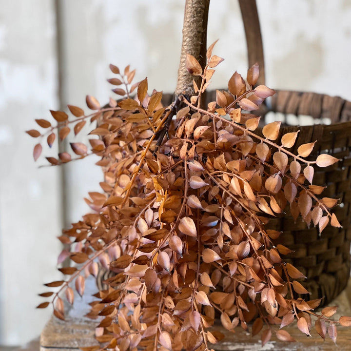 Hazel Bohicket Hanging Foliage