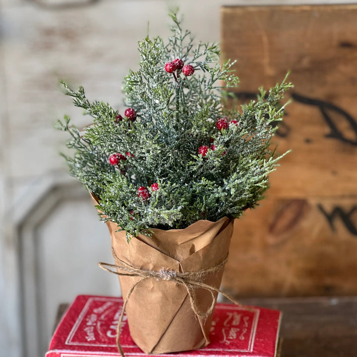 Merry Market Glittered Pine Pot