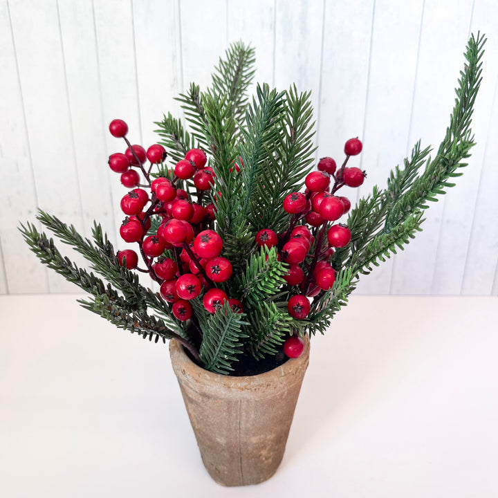 Mixed Pine & Berries Potted Arrangement
