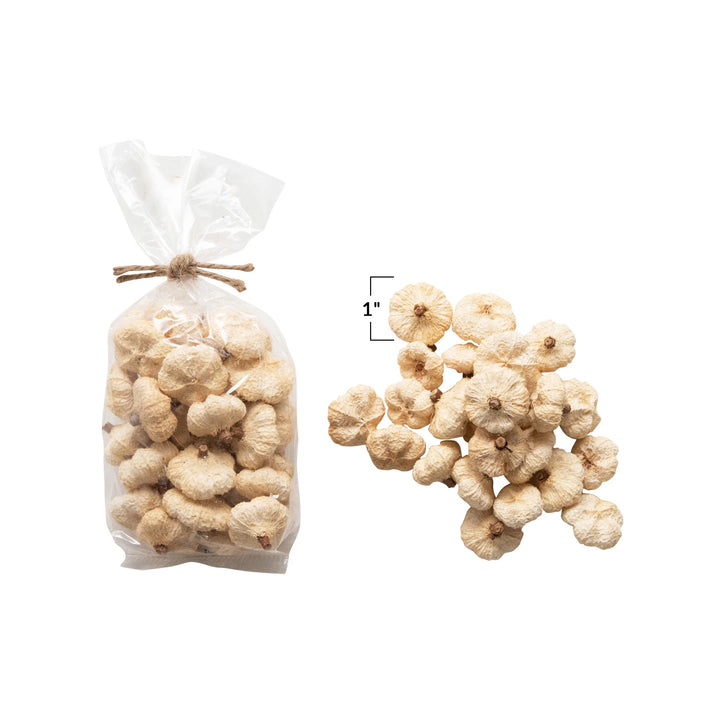 Natural Dried Peepal Pods