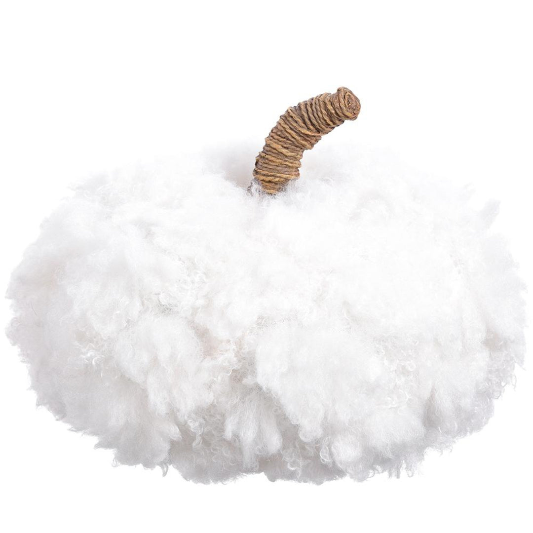 White Wooly Pumpkin
