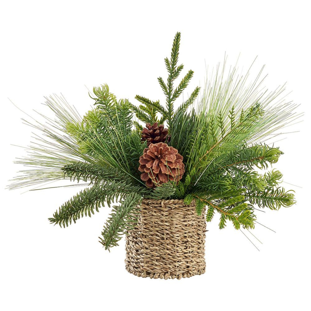 Mixed Pine & Cone Potted Basket