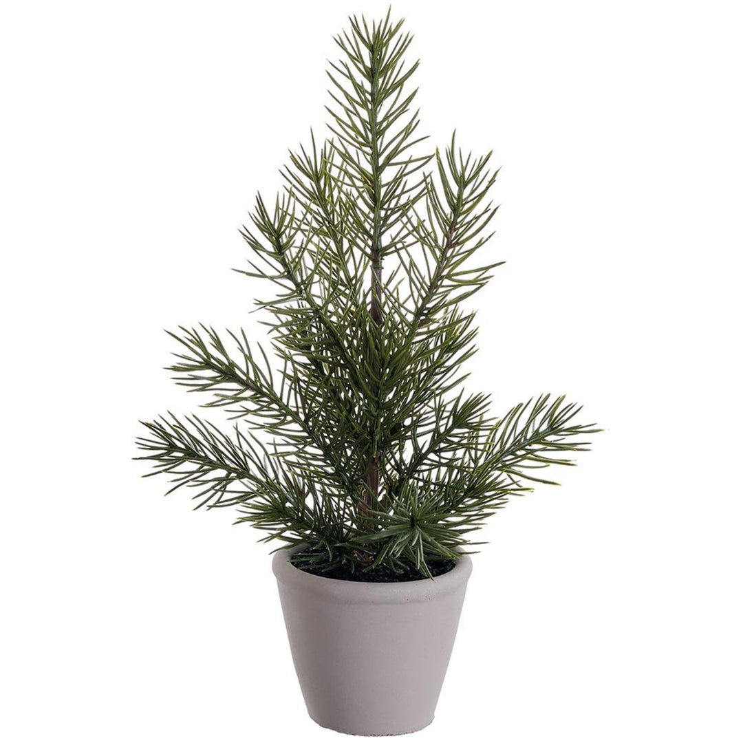 Simple Potted Pine Tree