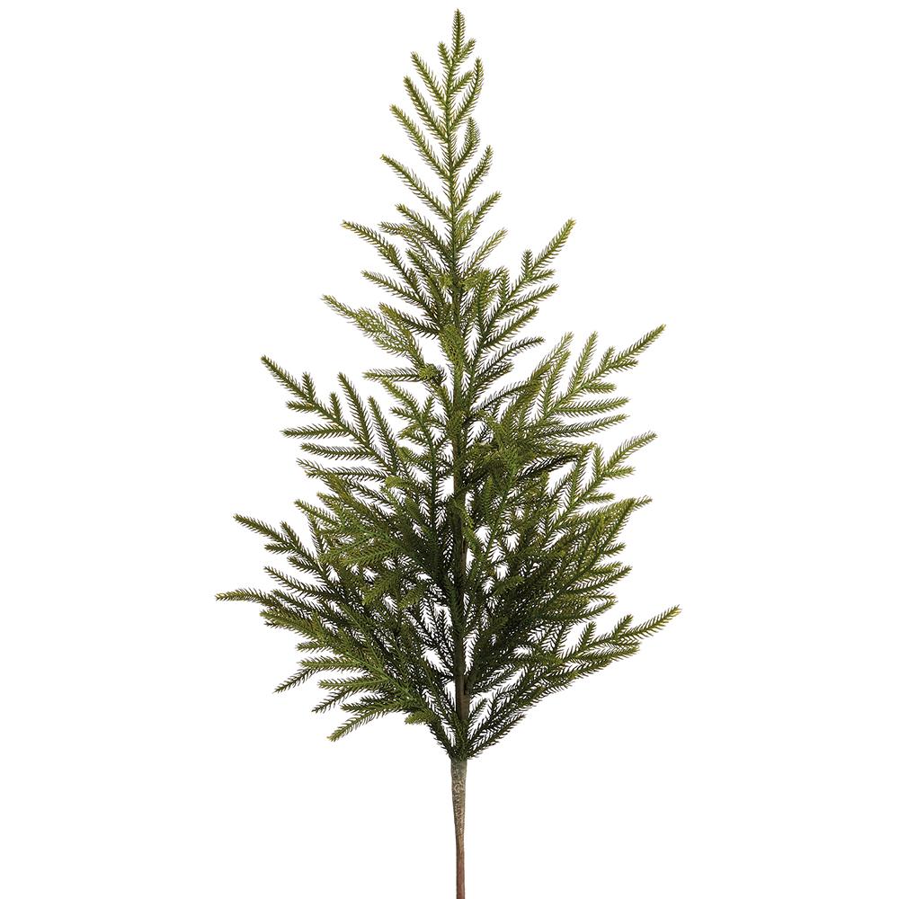 Cypress Tree Branch Spray