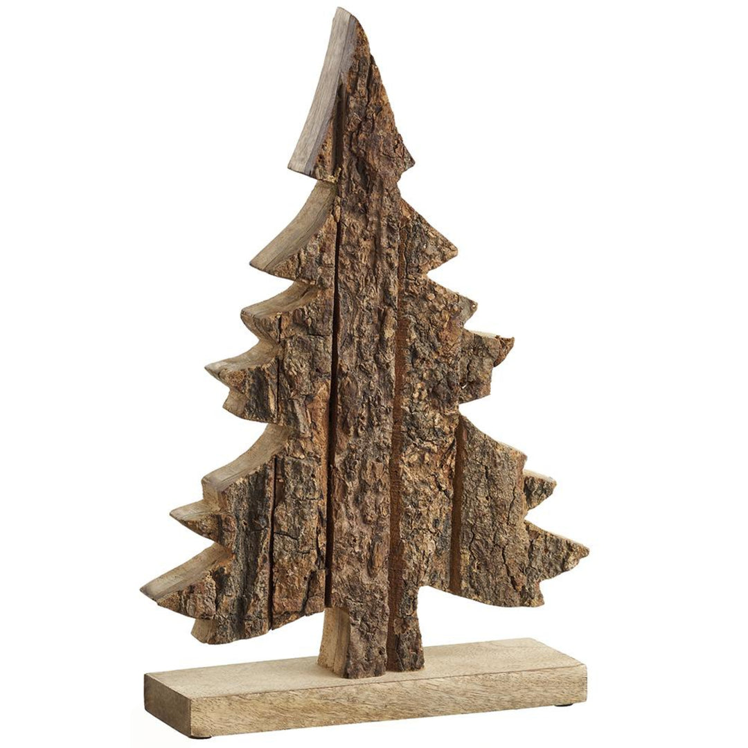 Wood Bark Evergreen Tree