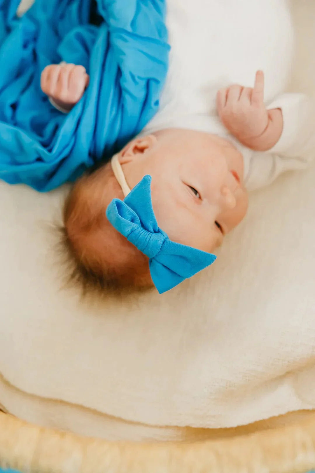 Blueberry Classic Bow