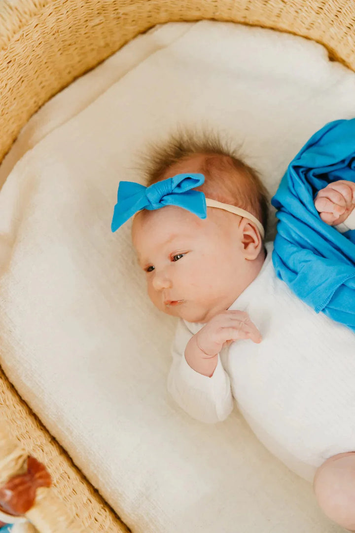 Blueberry Classic Bow