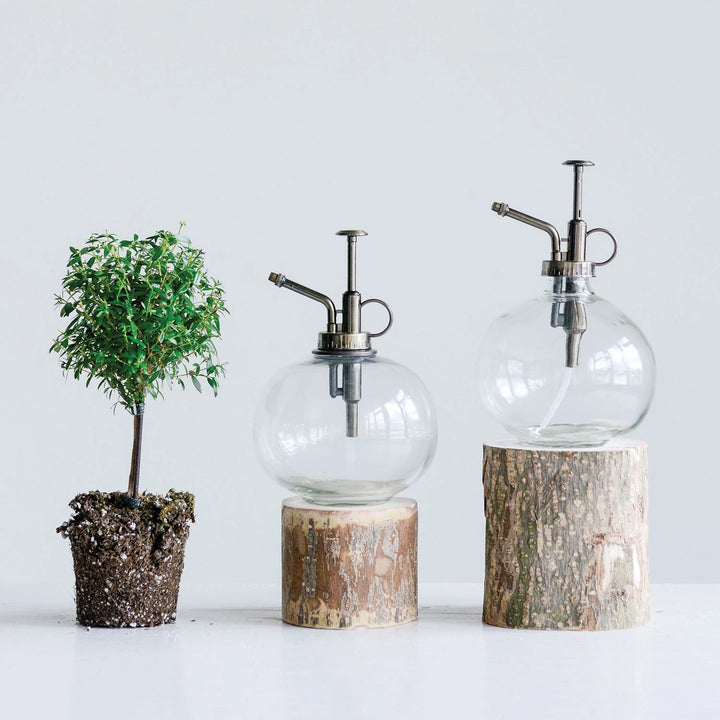 Round Glass Plant Mister