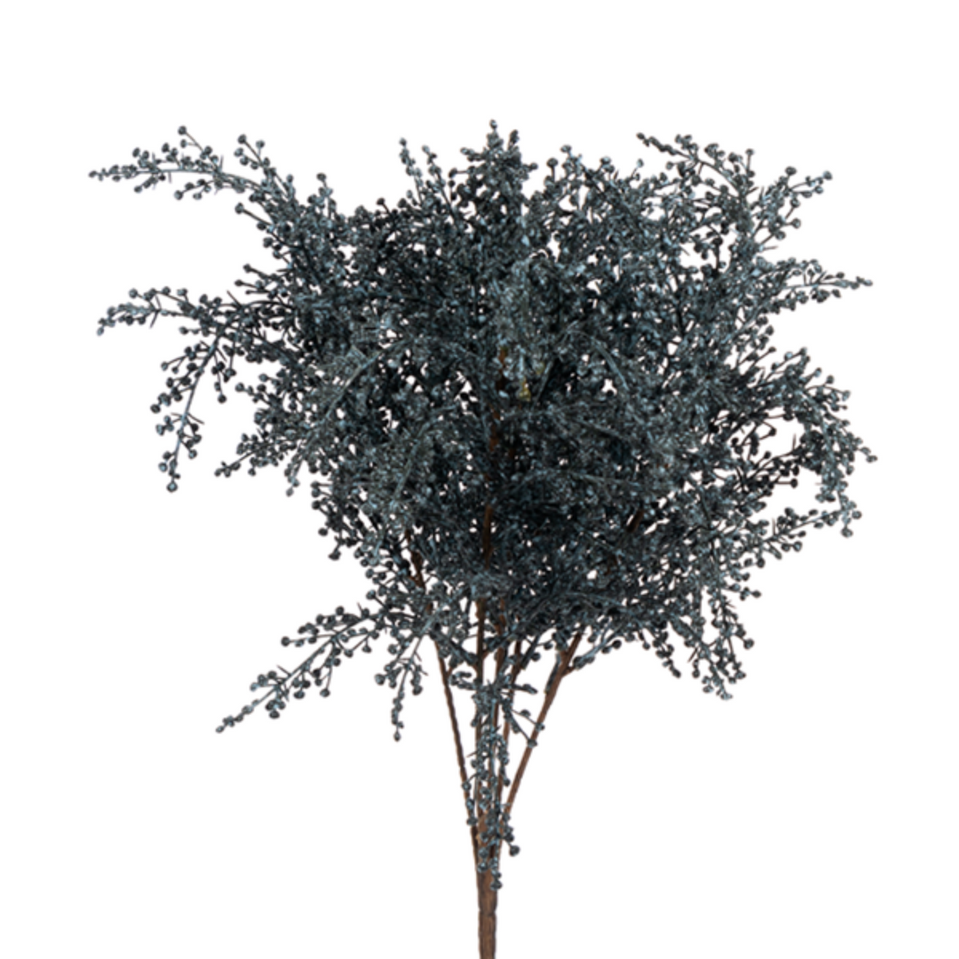 Moody Blue Berry Bush
