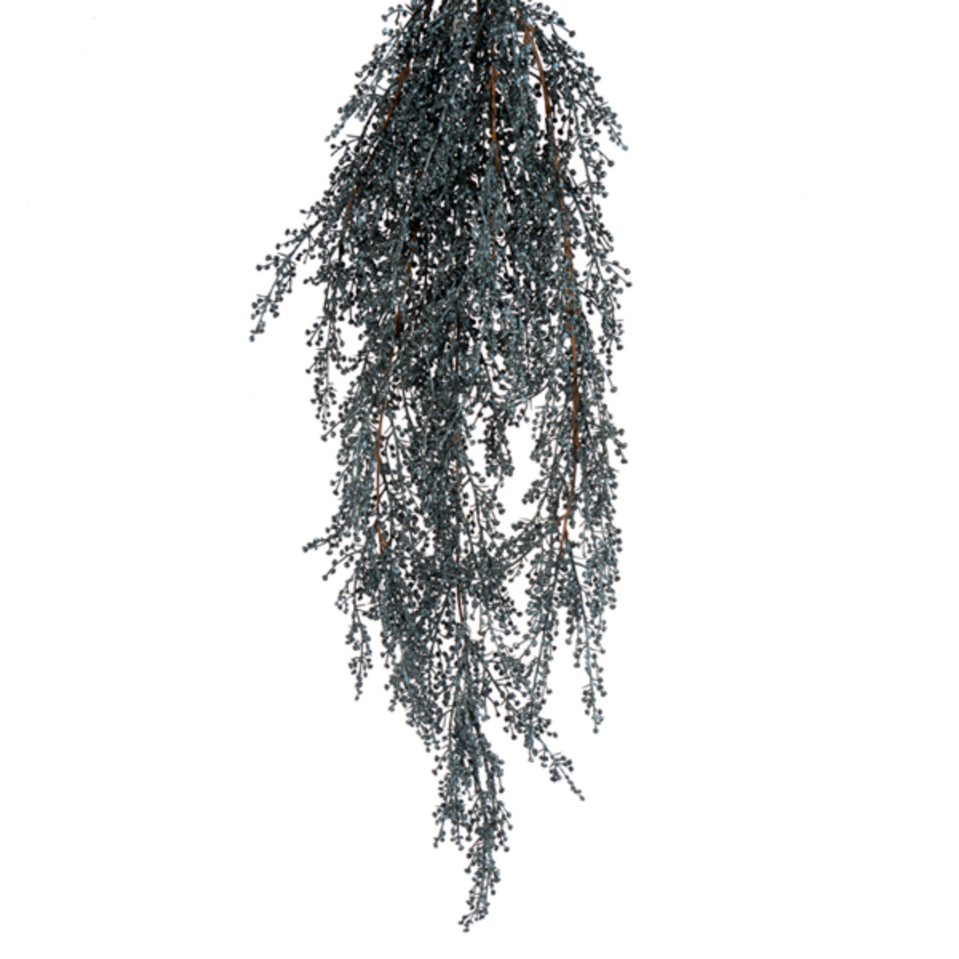 Moody Blue Berry Hanging Foliage