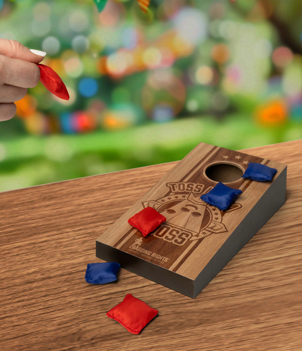 Mini Desktop Cornhole
