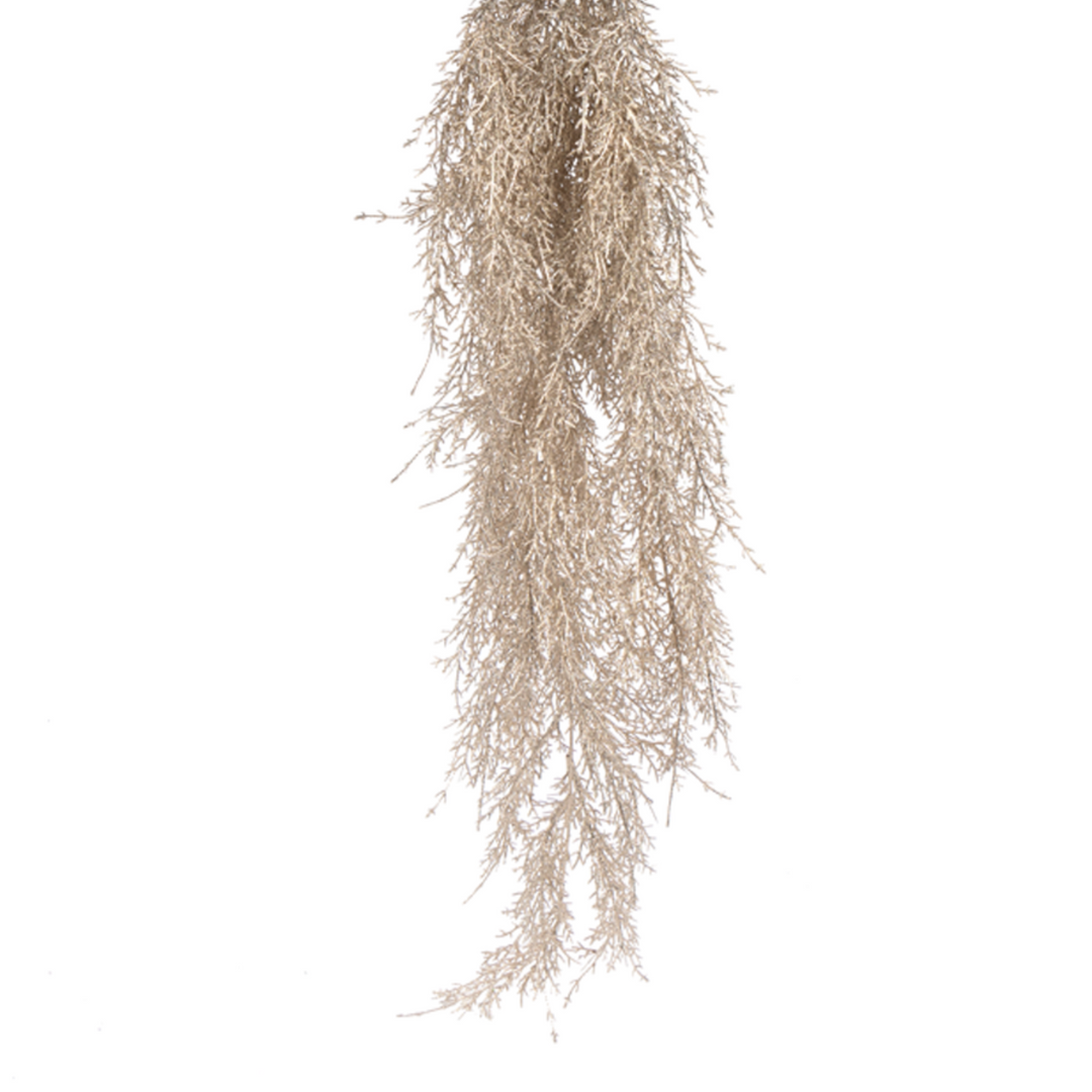 Platinum Cedar Hanging Foliage