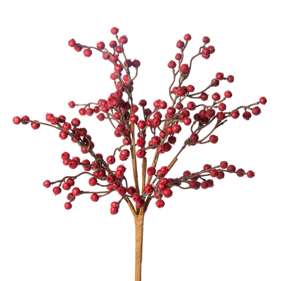 Crimson Berry Bush