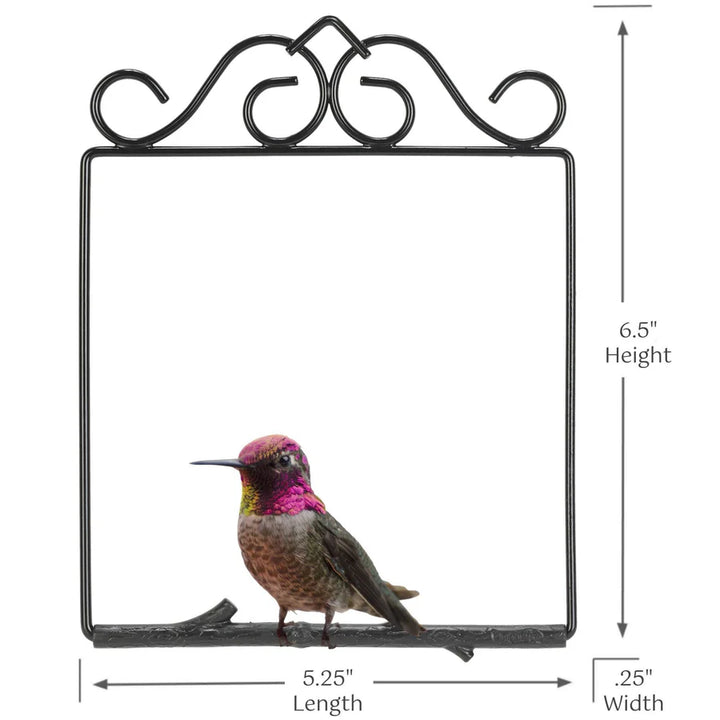 Original Hummingbird Swing