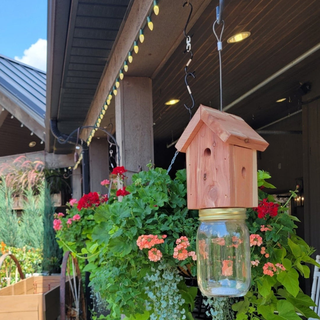 Bee & Wasp Trap