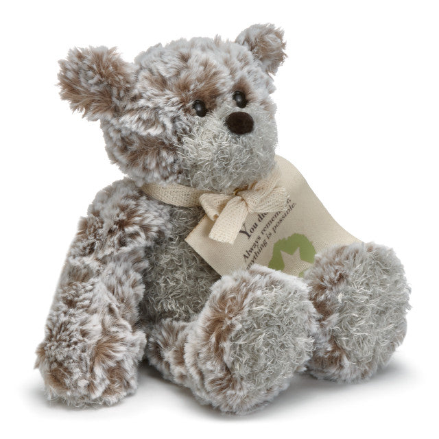 You Did It Mini Giving Bear