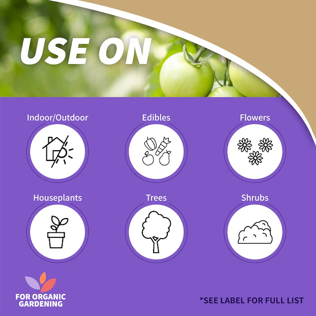 Bonide Neem Oil