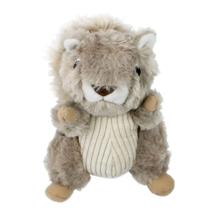 Animated Squirrel Dog Toy