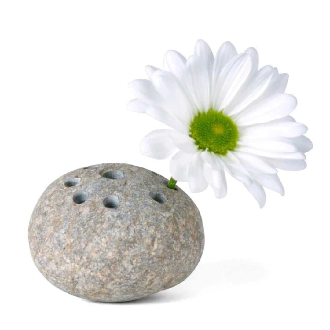 Frog Stone Flower Holder