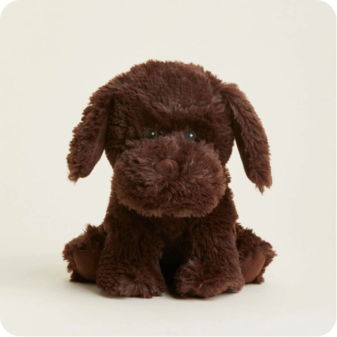 Warmies Chocolate Labrador