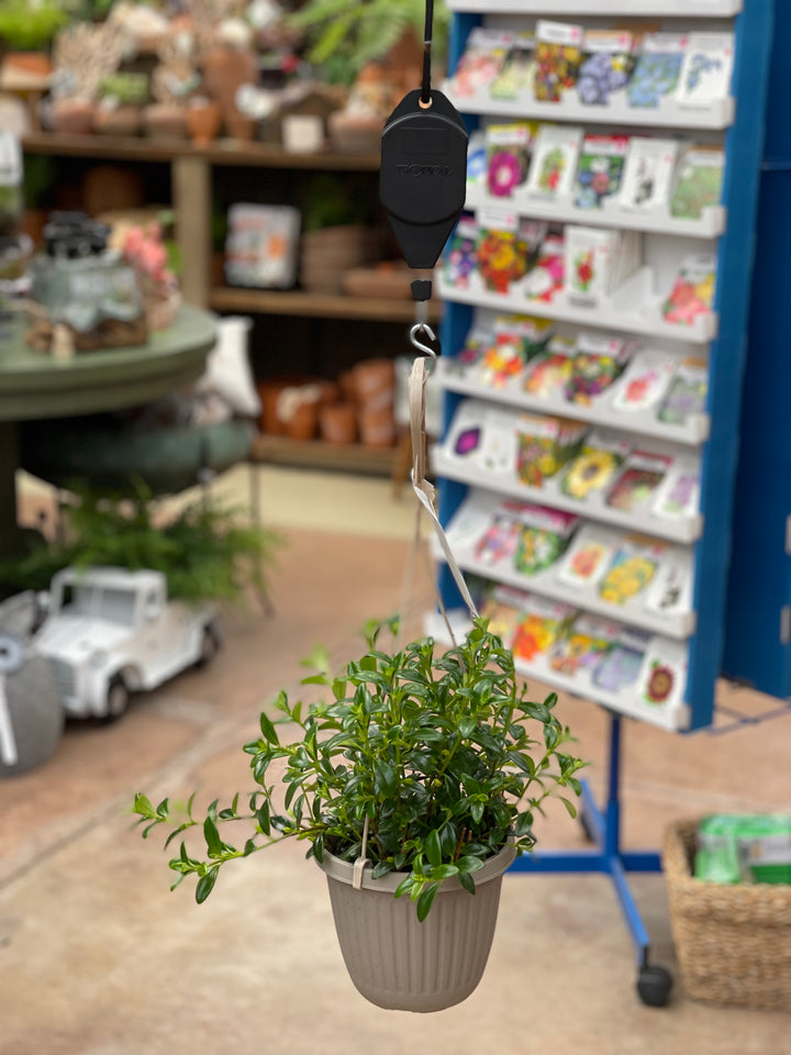 Hi-Lo Hanging Basket Hook
