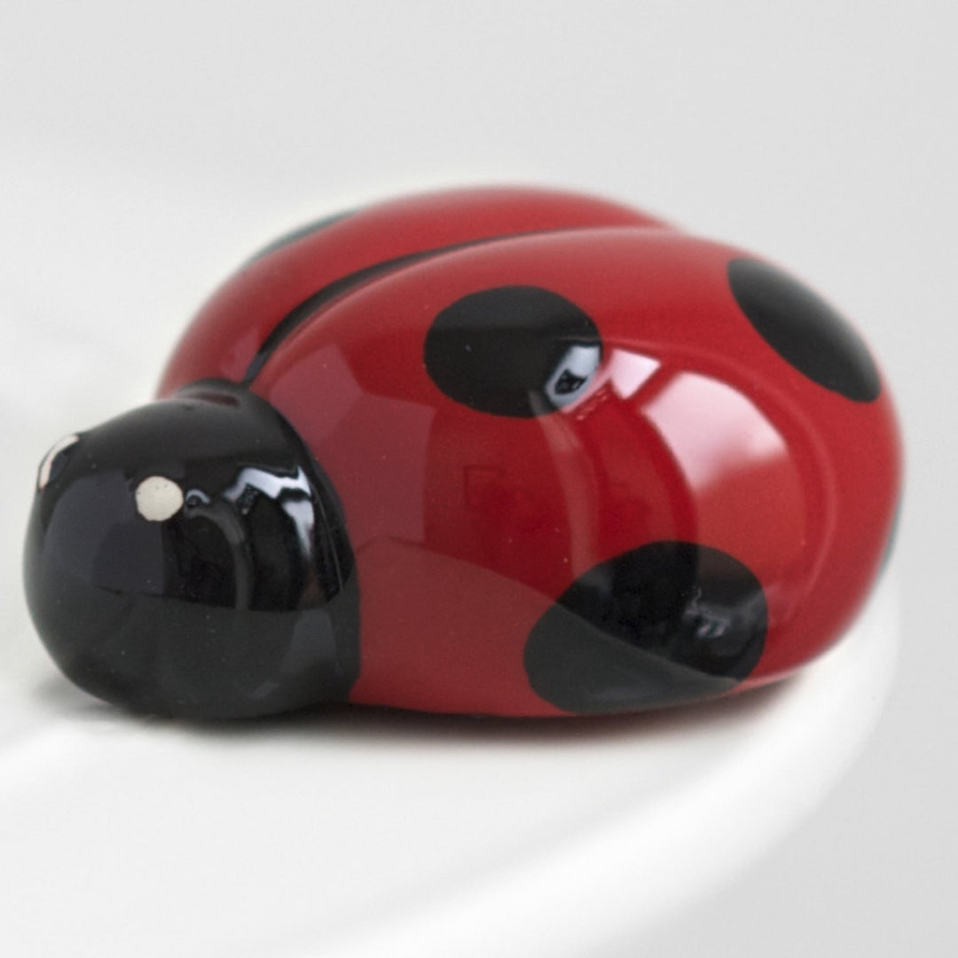 Nora Fleming Little Ladybug