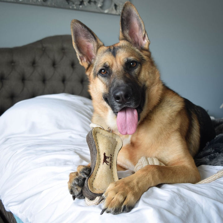 Wool Bone Tug Dog Toy