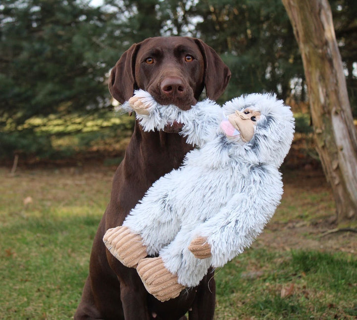 Squeaky Yeti Dog Toy