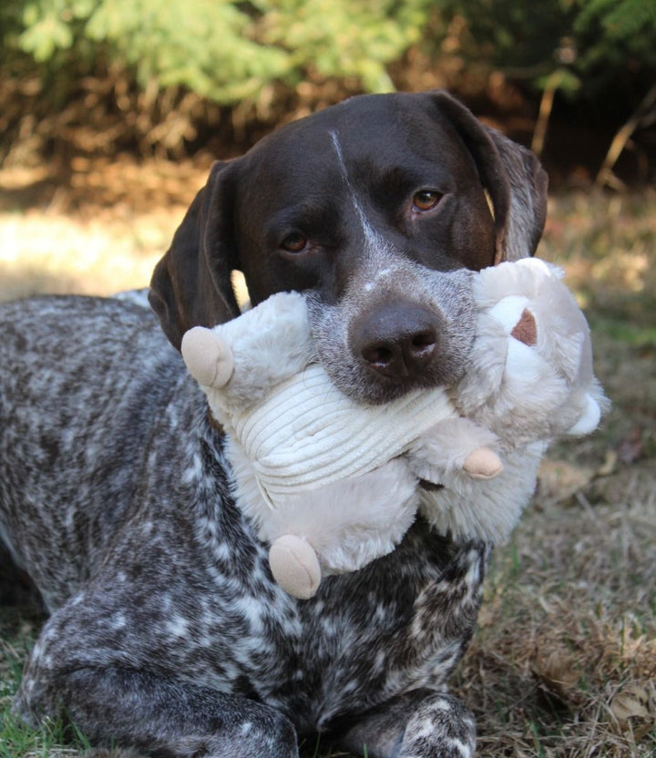 Animated Squirrel Dog Toy