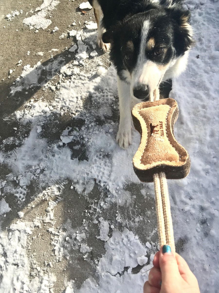 Wool Bone Tug Dog Toy