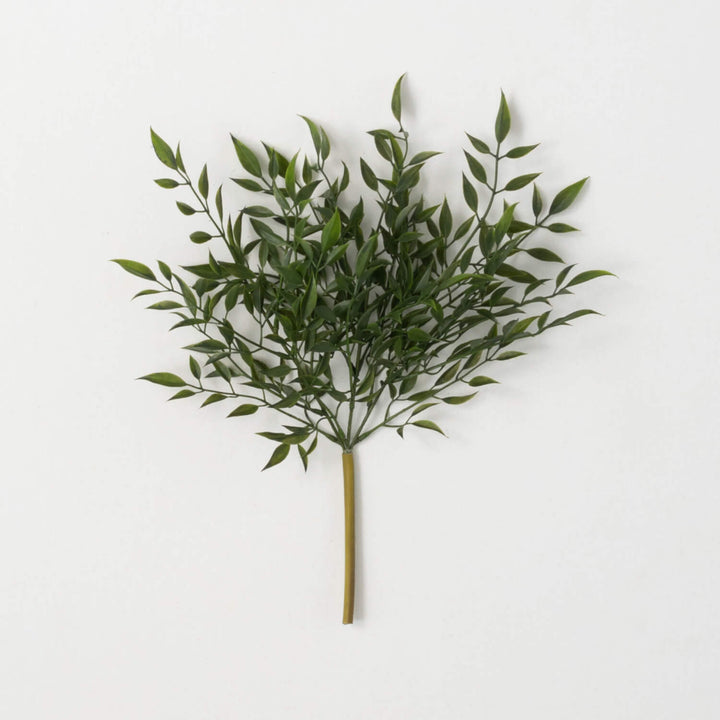 Green Ruscus Pick