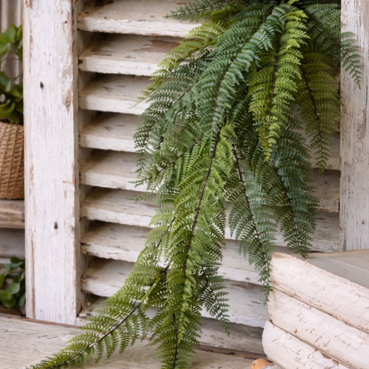 Fernwood Haven Hanging