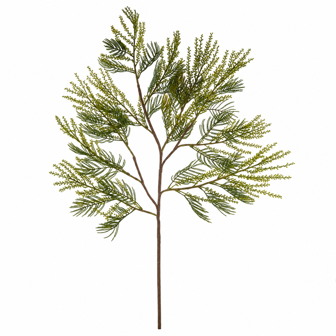 Seeded Fern Branch