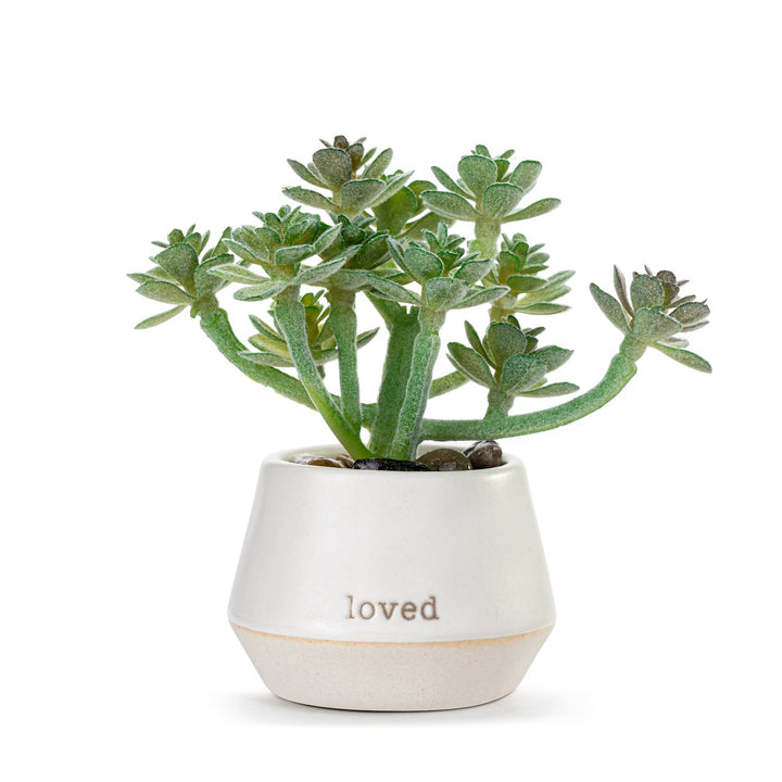 Just Because Mini Succulent Pot